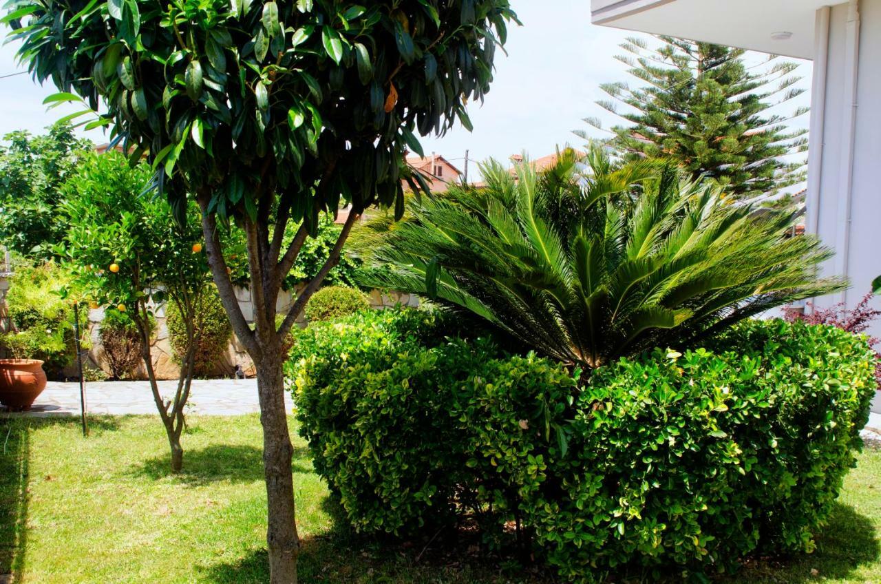 Amalias Place Mytikas  Exterior photo